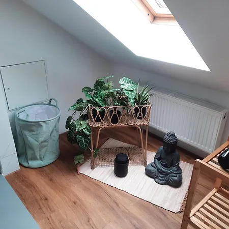 A 6 J 22 Michelangelo Netflix Fußgängerzone Eisenach