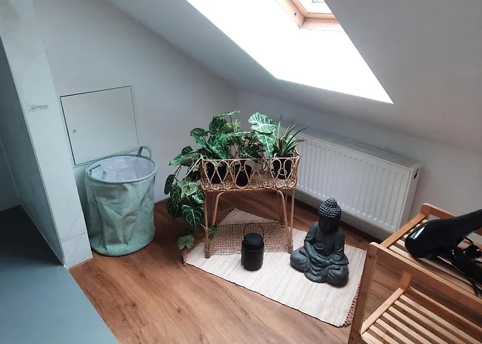 A 6 J 22 Michelangelo Netflix Fußgängerzone Eisenach